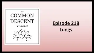 Episode 218 - Lungs