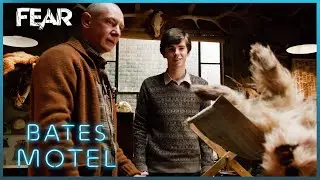Norman's Introduction To Taxidermy | Bates Motel