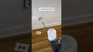 Dusting outlets for bed bugs