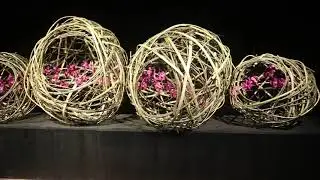 Floralien 2022 Gent, Belgium