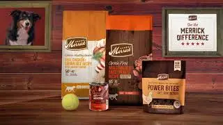 All Dog Foods Are Not The Same | Merrick Dry Dog Food | Protein v. Blue Buffalo
