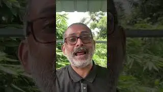 Transactional Analysis in Parenting and Family Communication
