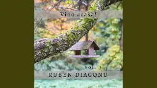 Întâlnire cu Isus