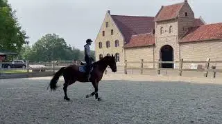 IVES HV: CORNET OBOLENSKY x ARGENTINUS
