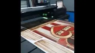 EFI-Rastek H700 Print direct to PVC 1/2