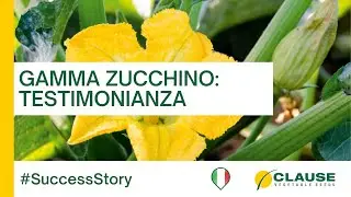 Gamma zucchino HM.CLAUSE: la fiducia dell'azienda Colle d'oro - #SuccessStory | HM.CLAUSE