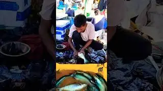 BAKER MACCHI |CUTTING FISH #fishcutting #fish #fishing