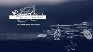 Introducing Symbols & Expressions | Rembrandt Charms
