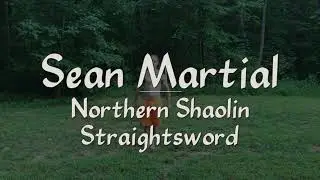 Sean Martial Northern Shaolin Sword (Jian)