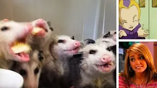 OPOSSUM ASMR | Code Lyoko and Zoey 101 TEAM UP! | Meme Review Monday