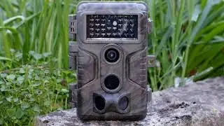 Pictures Only GardePro A3 Digital PIR Wildlife Trail Camera Worcester, UK 5th & 6th June 2021