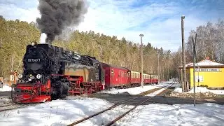 Harzer Schmalspurbahnen February 2026