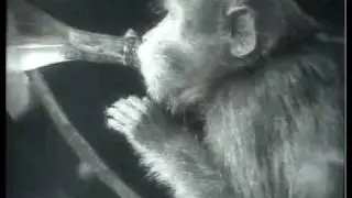 STRIKE (Eisenstein 1925) Snippet 1: Introducing the Spies. Springintgut DJ set to the silent movie