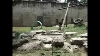 MOV00251