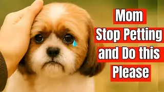 18 Science Proven Secrets That Make Your Dog Happy and Healthy &ndash; But You Ignore Them Every Day