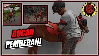 KUDA MINI Latihan Pertama Kali Test Ditunggangi Di Jalan | SIDOMULYO STABLE