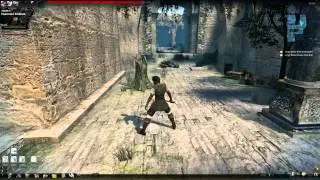 VINDICTUS NOW FREE TO PLAY