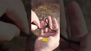 Best Knot For Hanging Camping Gear // #camping
