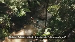 Gidjuum Gulganyi Walk: Welcome to Bundjalung Nation  | #nswparks