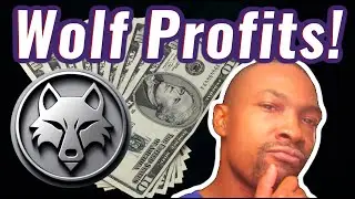 Daisy Wolf Saitama Wolfpack Profits Will Pay Off Her Student Loans #wolf #saitama #billions #adam