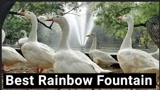 Rainbow Fountain 🤔🦈Lodhi Garden| Lodhi Outdoor Fountain, New Delhi| #lodhipark