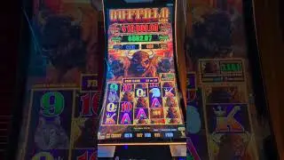 FREE GAMES BONUS Buffalo Link Carnival Cruise Firenze Casino #casinobonusviews 