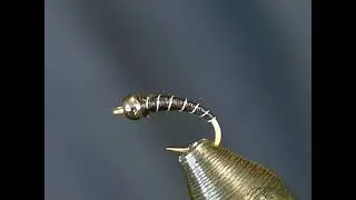 Zebra Midge