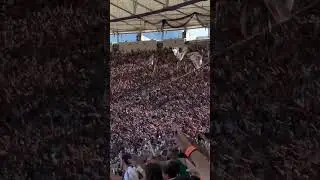 Torcida organizada do Fluminense-RJ ( Torcida Young Fluminense 🇧🇮🥁) 🎥​⁠@fluminensefc