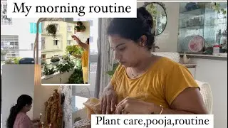 పోదున్నే నా రోజు ఈల నా మొక్కలు తో మొదలవుతుంది | morning routine | plant care #morningroutine #diml