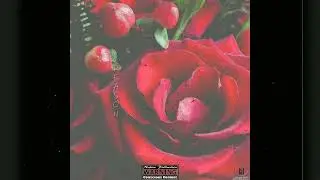 Native Production - Reason Riddim