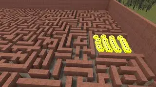 look and see the best hide and seek game '-  #radowan-n2d #gmod #garrysmod