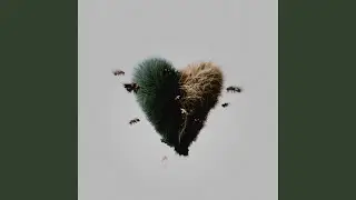 Attachments