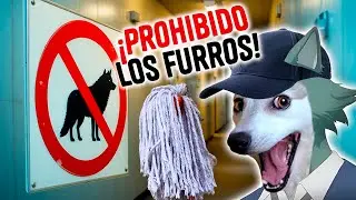 &iexcl;LA CHAMBA ES PRIMERO ANTES QUE LOS FURROS! (NO SOY FURRO)