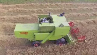 MOISSON 2017 moissonneuse CLASS compact 25