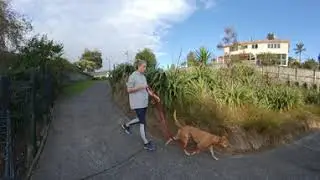 Oteha, Auckland, NZ