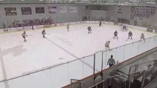 Niagara Purple Eagles vs Maryville Saints | Men's DI Hockey