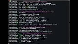Automating Proxy, PAC File, and SSL Trust Setup on MacOS
