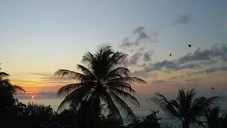 Happy Sunday - Neil Diamond with the Sun Rise - Jan 5, 2025