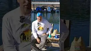 Bull Shoals Lake Report #fishing #bassfishing #bassmasterclassic  #bullshoals #arkansas