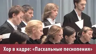 Хор в кадре: «Пасхальные песнопения»