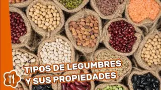 Tipos de legumbres y sus propiedades