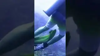 Moray Eel Attacks Diver #ytshorts #betashorts #beta #morayeel
