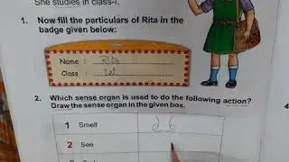 Class- 1st Subject- EVS Topic- Back exercises of L-1