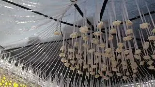 Creative handmade ideas, DIY Islamic event decorations, Eid Milad-un-Nabi decorations 2024