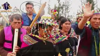 🎭✨ NUEVA GENERACI&Oacute;N AYZAPANA - HABAS ARVEJAS 🎭✨ (Video Oficial) 🇧🇴