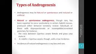Androgenesis