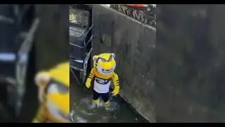 Tigr&atilde;o no fosso do Heriberto H&uuml;lse