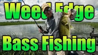 Weed Edges Attract Active Bass