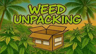 Weed Seeds Unpacking | Marijuana Parcel | Cannabis Home Grow Beginning | Outdoor Thailand #BudHead