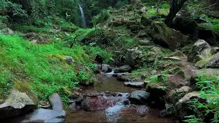 4K-HDR | Calming River Nature Ambience for Sleep & Serenity | Water Flow Sounds for Stress Recovery
